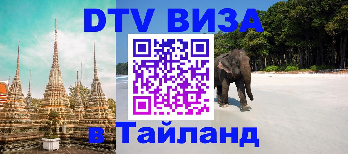 Оформление DTV визы под ключ: стоимость и тарифы, только загранпаспорт - Пятигорск  20.11.2025 